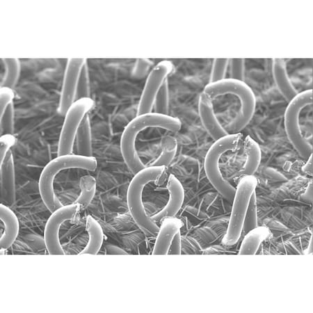 3M Hookit Clean Sanding Low Profile Disc Pad 3"X 1/2"X 1/4-20 51141-20350